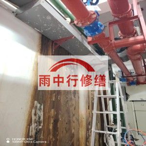 白城江宁医院地下室结构堵漏案例